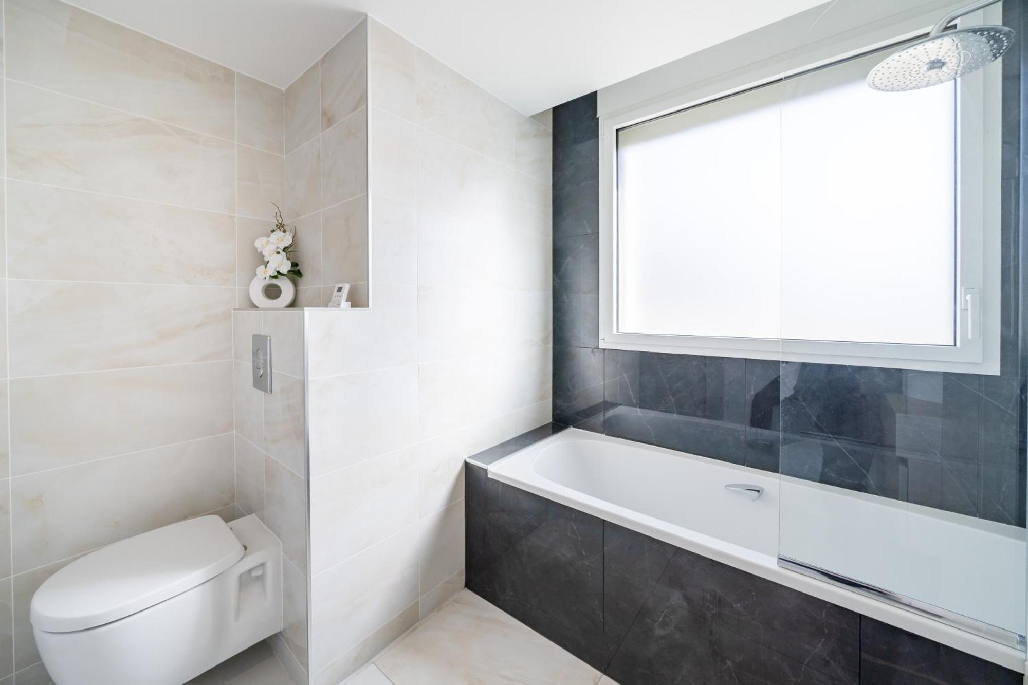 Appartement Penthouse